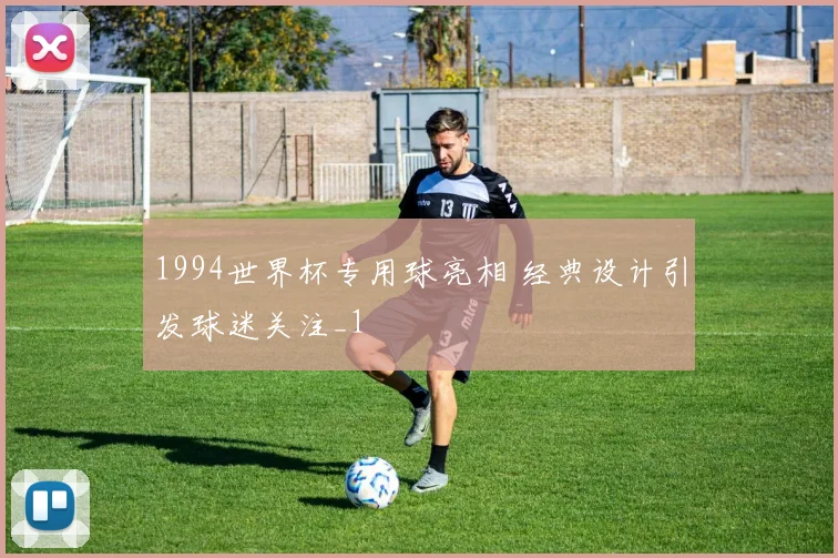 1994世界杯专用球亮相 经典设计引发球迷关注_1