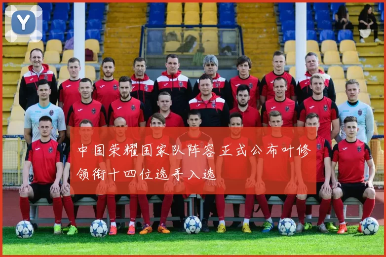 中国荣耀国家队阵容正式公布叶修领衔十四位选手入选