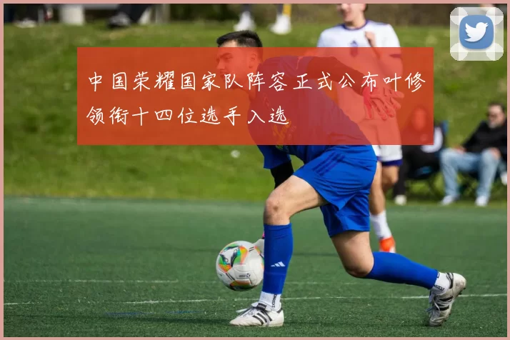 中国荣耀国家队阵容正式公布叶修领衔十四位选手入选