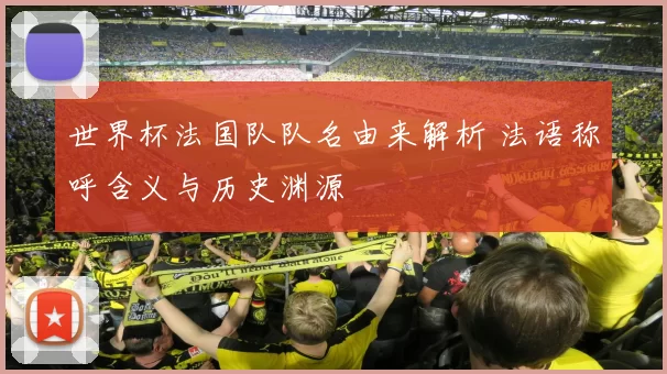 世界杯法国队队名由来解析 法语称呼含义与历史渊源