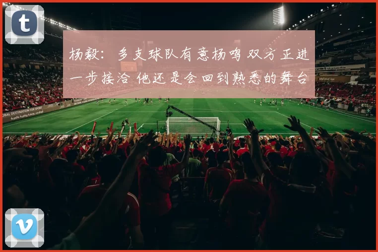 杨毅：多支球队有意杨鸣 双方正进一步接洽 他还是会回到熟悉的舞台