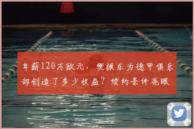年薪120万欧元,樊振东为德甲俱乐部创造了多少收益?续约条件亮眼引关注_直接收入_球员_门票