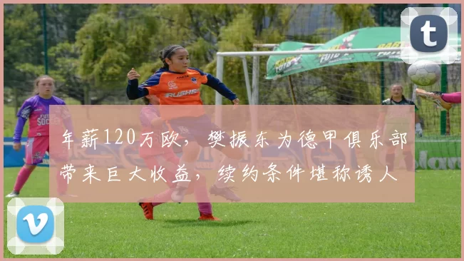 年薪120万欧，樊振东为德甲俱乐部带来巨大收益，续约条件堪称诱人_欧元_萨尔布吕肯_球馆